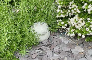 The Postage Stamp Cabin - Foto 10