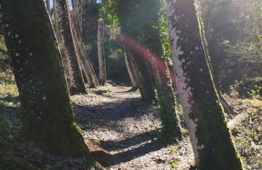 Apartamento Rural El Rinconcito - Foto 29