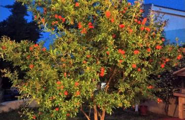 Sea and Garden - Foto 20