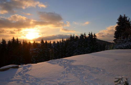 Ferienhaus zur Glocke - Foto 39