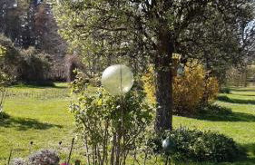 L'atypique du buisson de la gariole - Foto 73