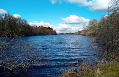 Peaceful Retreat - Foto 15