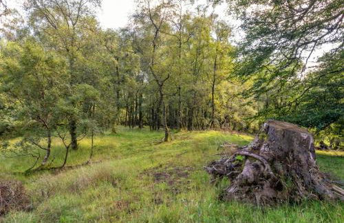 Holiday Home Glenquiech House by Interhome - Foto 62