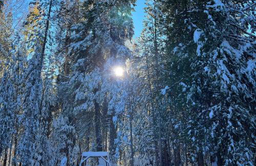 Little Bear Lodge - Foto 30