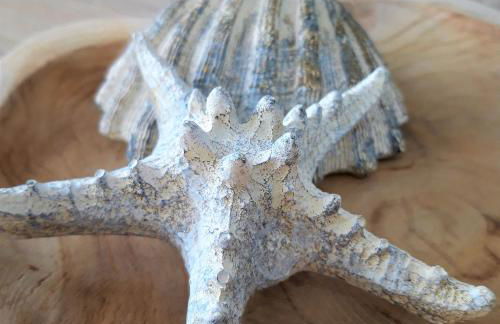 Silver Ocean Puerto Lajas by Sea You There Fuerteventura - Foto 17