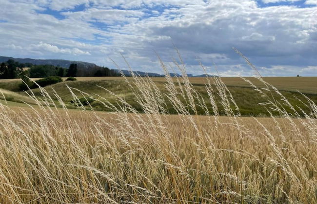 Ferienhaus in Lichtenhain - Foto 42