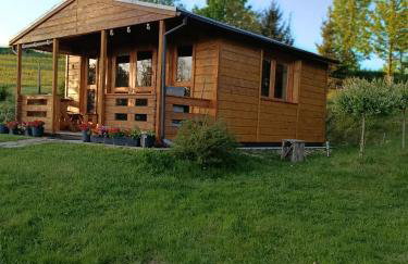 Domek letniskowy Radomice - Foto 14