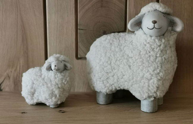 Ferienhaus Wieke - Foto 75