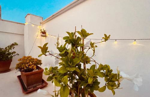 Le Nicchie - Ospitalità di Puglia - Foto 10