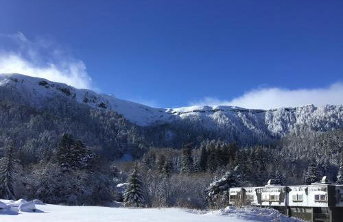 Charmant F2 bis 5 pers. au Mont-Dore avec parking, proche des pistes - FR-1-415-174 - Foto 12