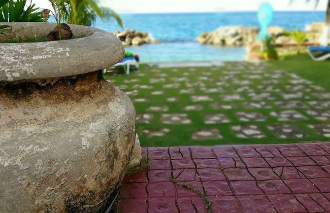 Ocho Rios Beach Resort at ChrisAnn - Foto 26