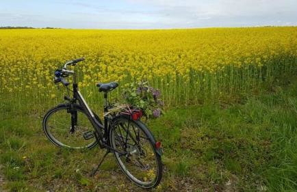 Zielony Domek z jacuzzi - Foto 39