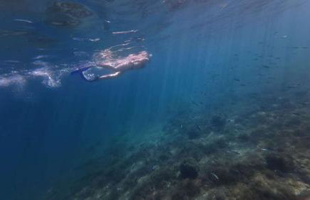 Luxury Beach Apartment Adria with Private Pool and Sea View - Photo 33