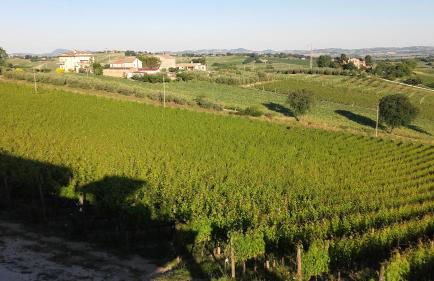 B & B Il Sicomoro - Foto 39