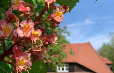 Landhaus Saaleck - Foto 25