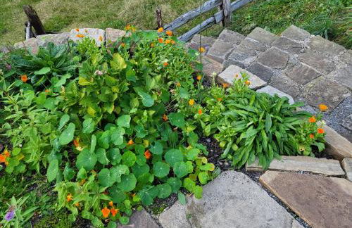 Souterrainwohnung im Grünen - Foto 44