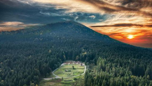 Domki w Kasinie - Foto 2