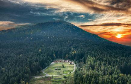 Domki w Kasinie - Foto 2