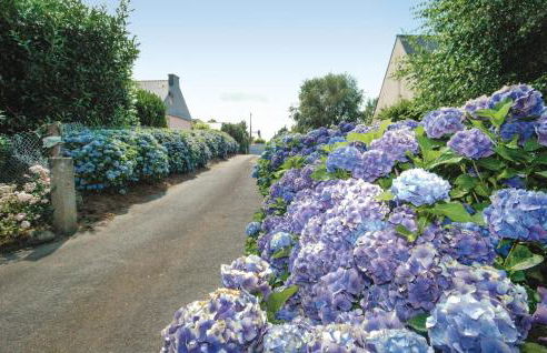 3 Bedroom Gorgeous Home In Plouay - Foto 30