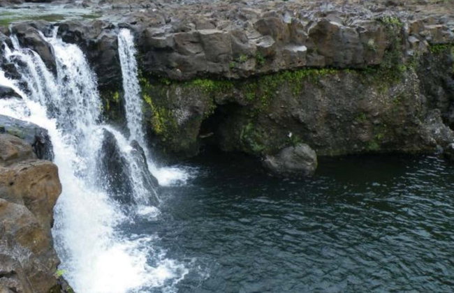 Umauma River Kayaking & Swimming - Photo 5