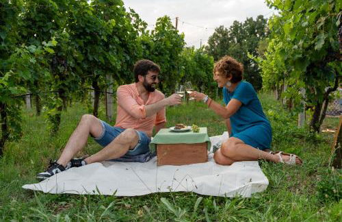 Bio Agriturismo Vojon - Foto 63