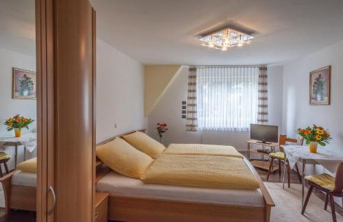 Ferienwohnungen Ludwigsthal - Foto 13