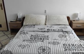 TP Apartman 1 - Photo 24