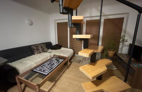 Hospoda-Ferienhaus am Olba-See - Foto 5