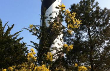 Appartement 2/3 personnes à 10 minutes de Contis plage (Saint Julien en Born) - Foto 31