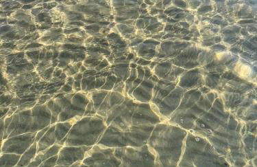 Il cortiletto - Foto 14