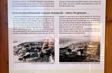 Rheinauszeit - Foto 34