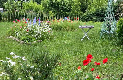 Ferienhof Schmetterlingsgarten - Foto 21