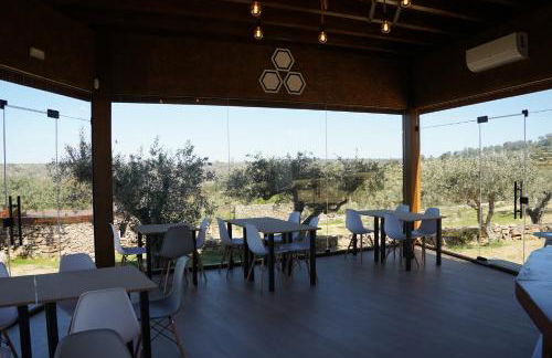 CÔA HONEYCOMB - Foto 23