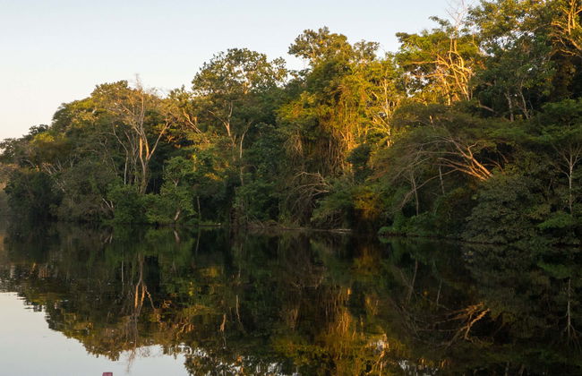 Paseo en barca por los lagos de Tarapoto - Foto 1