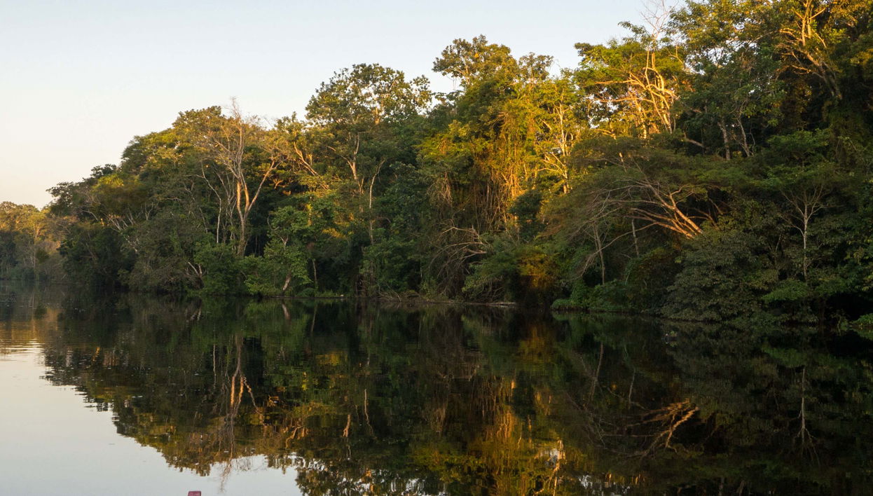 Tarapoto Lakes Boat Trip - Foto 1
