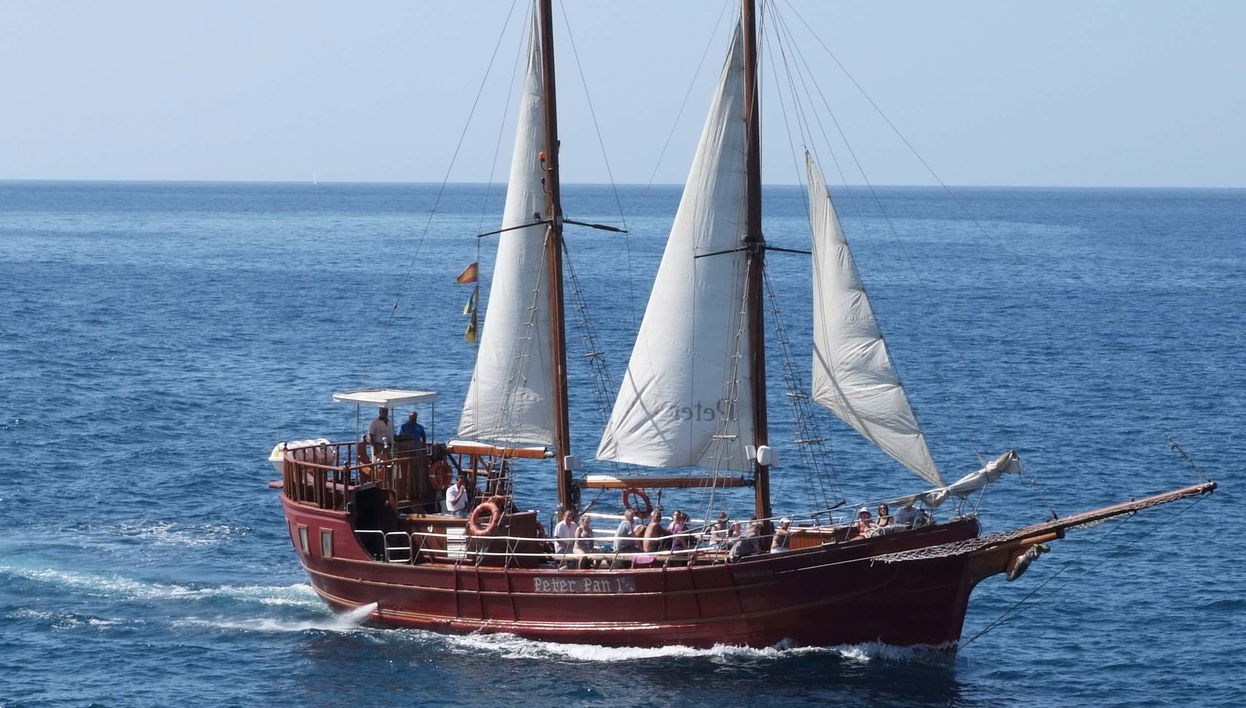 Balade en goélette avec observation de cétacés