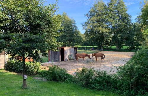 Wassermühle Habighorst - Foto 27