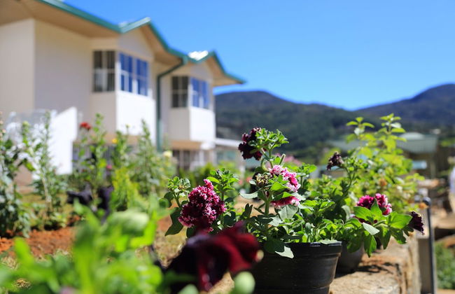 Lemas Holiday Bungalow - Foto 25