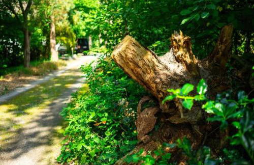 Riverside Retreat with Comfort - Foto 29