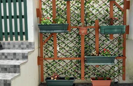 Casa Galante - Photo 20