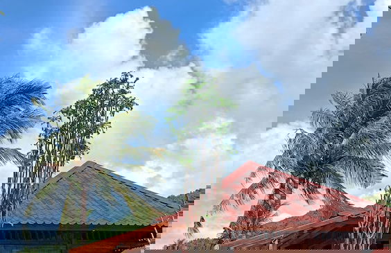 Mio Villa Tomang Omang Lombok - Foto 38