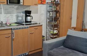 Apartment Blütenstadt Werder im Souterraine - Photo 7