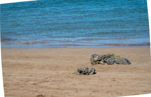 Alma Canteras - Photo 40