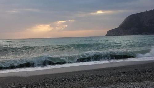 Octopus´Garden - Foto 5