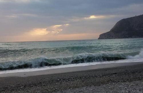 Octopus´Garden - Foto 5