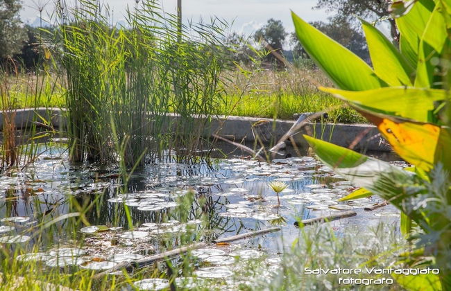 Azienda Agricola Spirdo - Foto 41