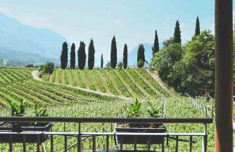 Agritur Casteller - Photo 118