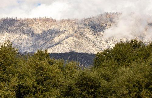 Vineyard estate with pool and amazing views - Photo 52