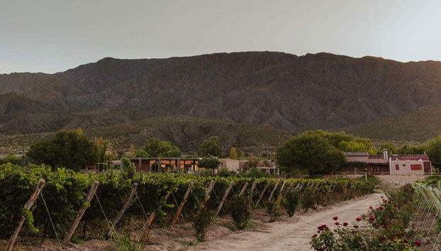 Paisagens dos vinhedos de San Juan