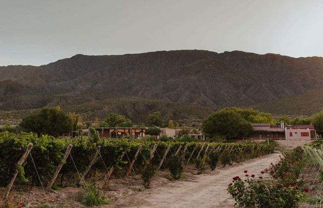 Tour delle vigne e delle cantine di San Juan - Foto 2